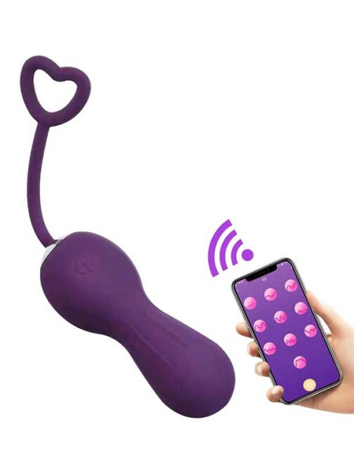 Telefon Kontrollü Mini Vibratör